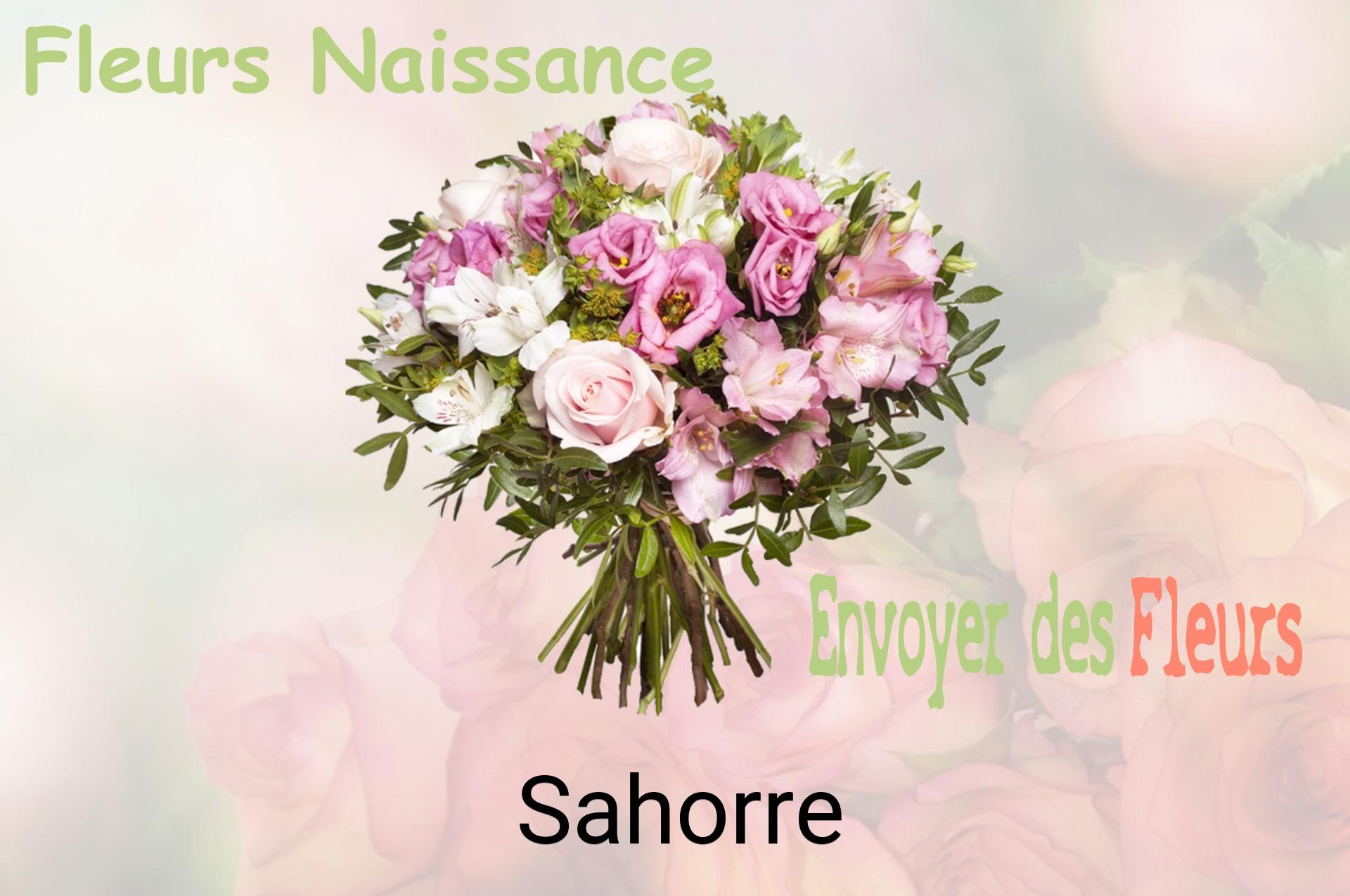 Bouquet de fleurs de naissance livré à Sahorre